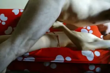 Live Cewek Bispak Jakarta Main Di Bintang Lima